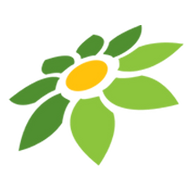 CHORDTELA DAN